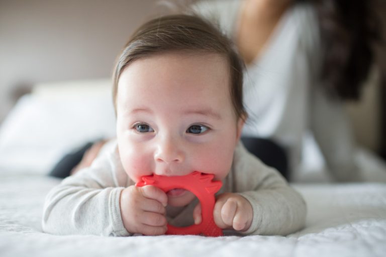 Mordedor Flexible Zorro Rojo 3M+ Dr. Brown's