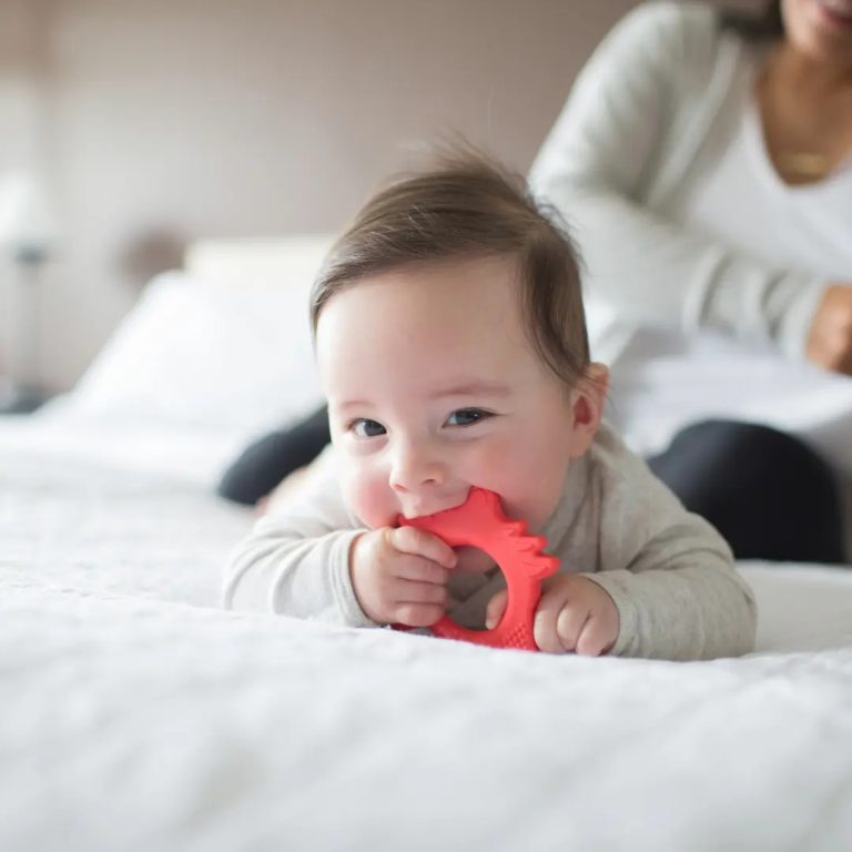 Mordedor Flexible Zorro Rojo 3M+ Dr. Brown's