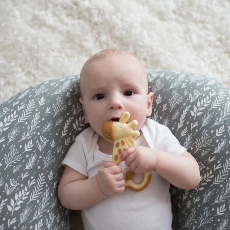 Mordedor Masajeador Jirafa 3M+ Dr. Brown's