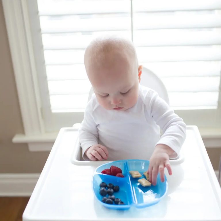 Pack 3 Platos divididos 4M+ Dr. Brown's