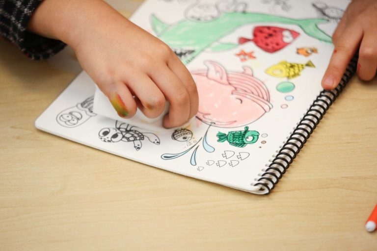 SET DE VIAJE REUTILIZABLE PARA COLOREAR (+3 AÑOS)