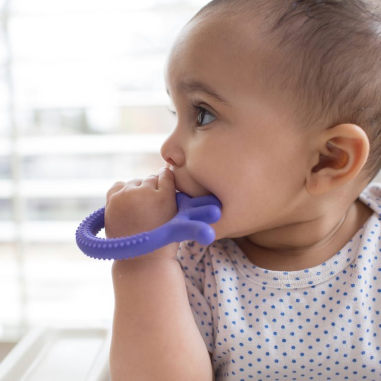 Mordedor Flexible Pulpo Morado 3M+ Dr. Brown's