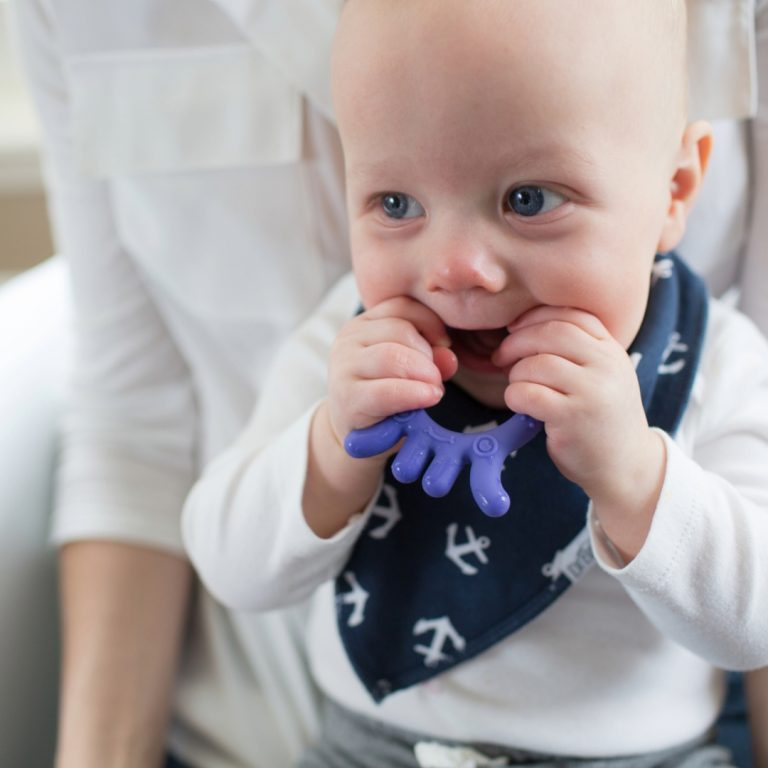 Mordedor Flexible Pulpo Morado 3M+ Dr. Brown's